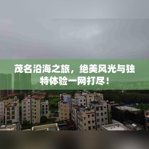 茂名沿海之旅，絕美風(fēng)光與獨(dú)特體驗(yàn)一網(wǎng)打盡！