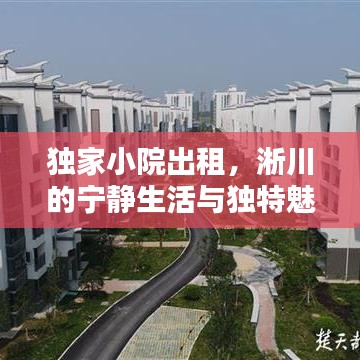 獨(dú)家小院出租，淅川的寧靜生活與獨(dú)特魅力體驗(yàn)