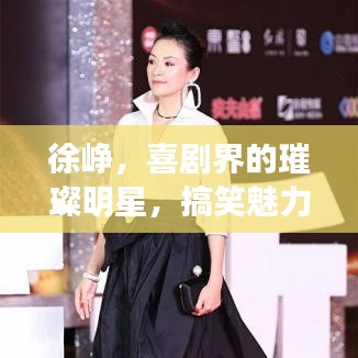 徐崢，喜劇界的璀璨明星，搞笑魅力引爆全網(wǎng)！