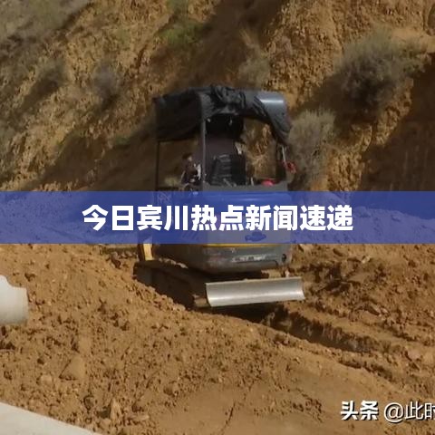 飛紅滴翠 第3頁(yè)