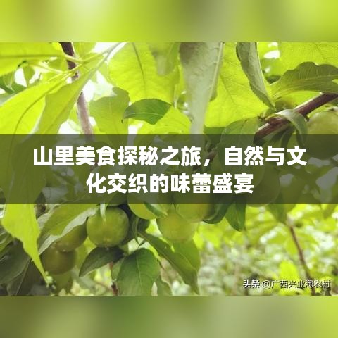 山里美食探秘之旅，自然與文化交織的味蕾盛宴