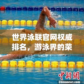 世界泳聯(lián)官網(wǎng)權(quán)威排名，游泳界的榮耀榜單，榮譽(yù)盡在其中！