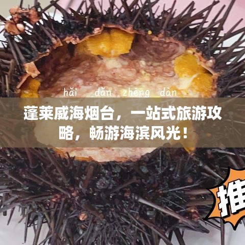 蓬萊威海煙臺(tái)，一站式旅游攻略，暢游海濱風(fēng)光！