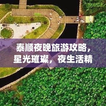 泰順夜晚旅游攻略，星光璀璨，夜生活精彩紛呈！