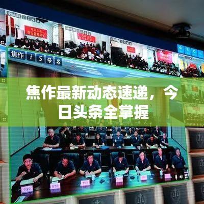 焦作最新動態(tài)速遞，今日頭條全掌握