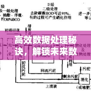 高效數(shù)據(jù)處理秘訣，解鎖未來數(shù)據(jù)處理的關(guān)鍵技術(shù)！