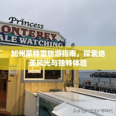 加州蒙特雷旅游指南，探索絕美風(fēng)光與獨特體驗