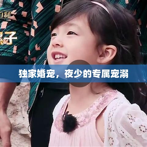 獨(dú)家婚寵，夜少的專(zhuān)屬寵溺