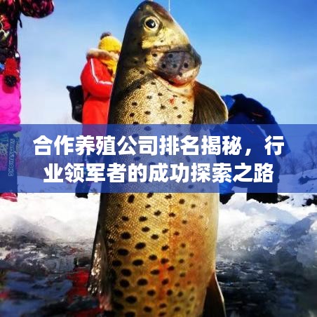 合作養(yǎng)殖公司排名揭秘，行業(yè)領(lǐng)軍者的成功探索之路