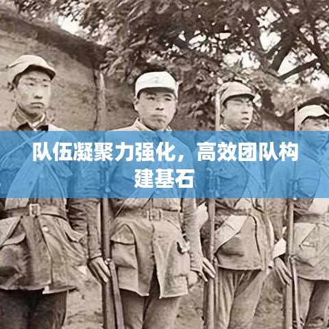 隊(duì)伍凝聚力強(qiáng)化，高效團(tuán)隊(duì)構(gòu)建基石