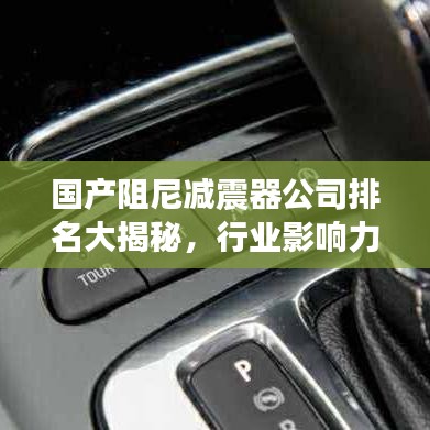 國產(chǎn)阻尼減震器公司排名大揭秘，行業(yè)影響力不容小覷！