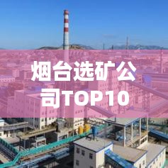煙臺選礦公司TOP10榜單，行業(yè)權(quán)威排名大揭秘！