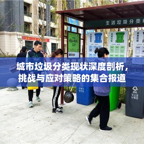 城市垃圾分類現(xiàn)狀深度剖析，挑戰(zhàn)與應對策略的集合報道