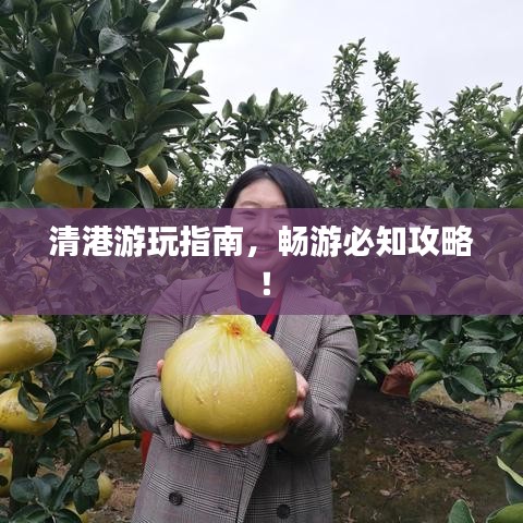 清港游玩指南，暢游必知攻略！