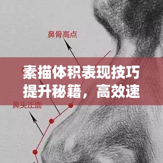 素描體積表現(xiàn)技巧提升秘籍，高效速成攻略！