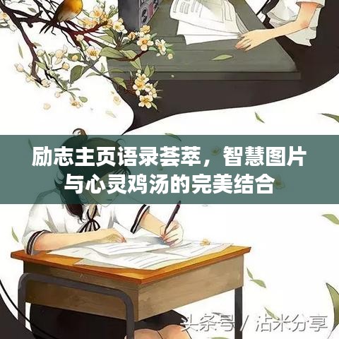 勵(lì)志主頁(yè)語(yǔ)錄薈萃，智慧圖片與心靈雞湯的完美結(jié)合