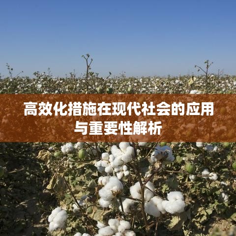 高效化措施在現(xiàn)代社會(huì)的應(yīng)用與重要性解析
