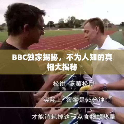 BBC獨(dú)家揭秘，不為人知的真相大揭秘
