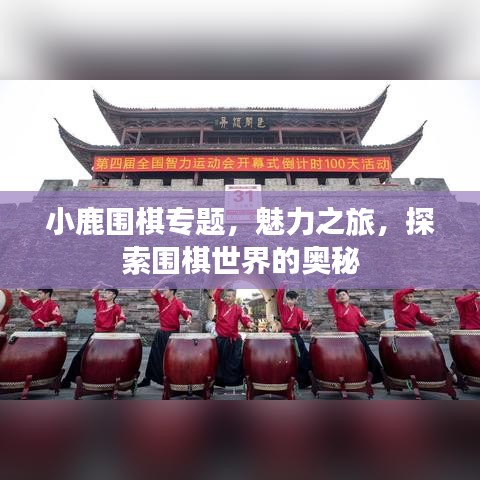 小鹿圍棋專題，魅力之旅，探索圍棋世界的奧秘