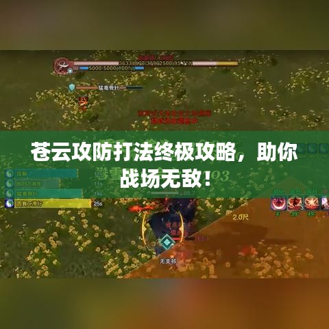 蒼云攻防打法終極攻略，助你戰(zhàn)場無敵！