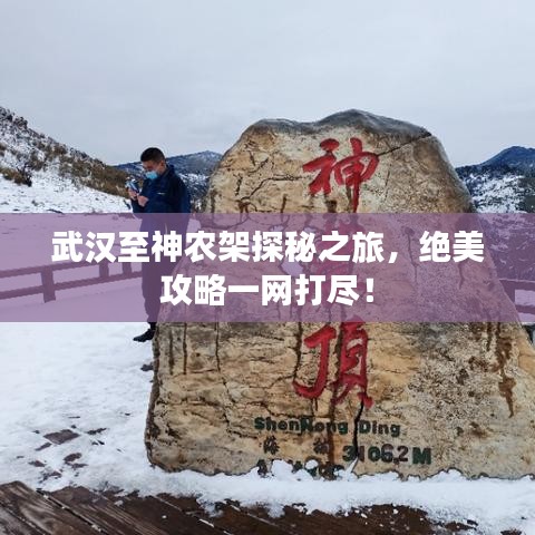 武漢至神農(nóng)架探秘之旅，絕美攻略一網(wǎng)打盡！