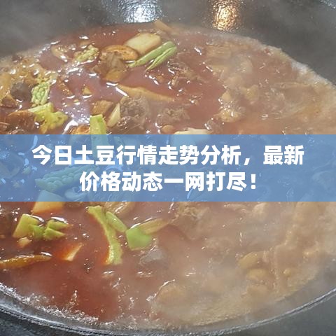 今日土豆行情走勢分析，最新價格動態(tài)一網打盡！
