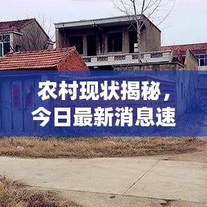 農(nóng)村現(xiàn)狀揭秘，今日最新消息速遞