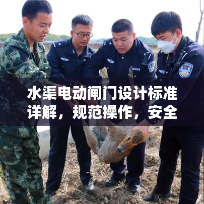 水渠電動(dòng)閘門設(shè)計(jì)標(biāo)準(zhǔn)詳解，規(guī)范操作，安全無憂