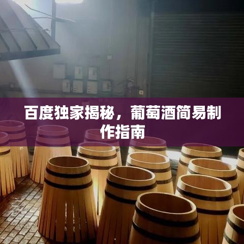 百度獨家揭秘，葡萄酒簡易制作指南