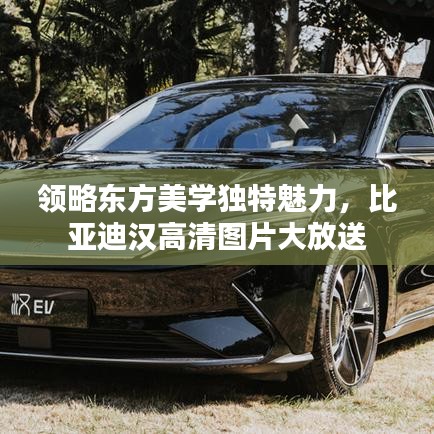 領(lǐng)略東方美學(xué)獨(dú)特魅力，比亞迪漢高清圖片大放送