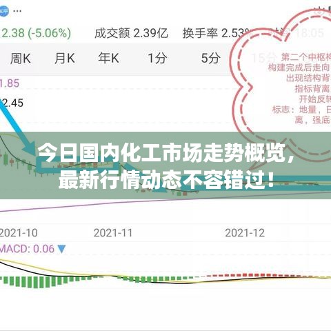 今日國內(nèi)化工市場走勢概覽，最新行情動態(tài)不容錯過！