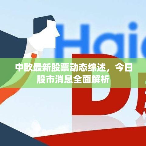 中歐最新股票動(dòng)態(tài)綜述，今日股市消息全面解析