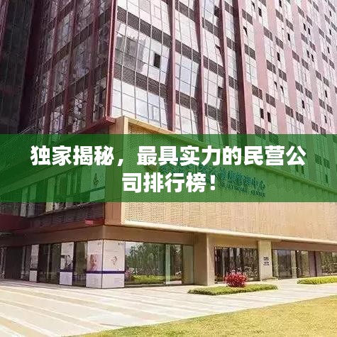 獨(dú)家揭秘，最具實(shí)力的民營(yíng)公司排行榜！