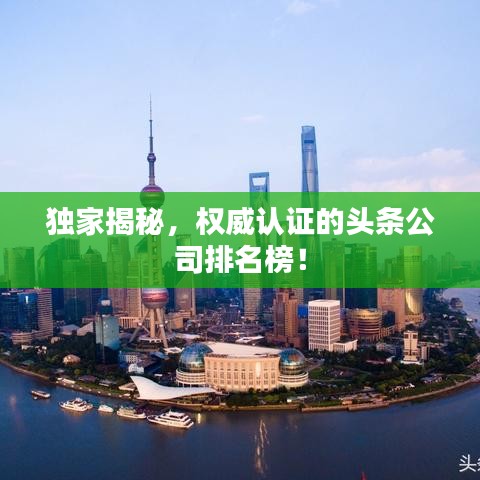 獨(dú)家揭秘，權(quán)威認(rèn)證的頭條公司排名榜！