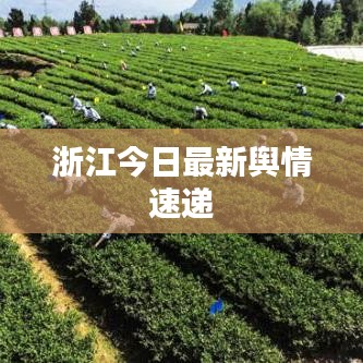 浙江今日最新輿情速遞