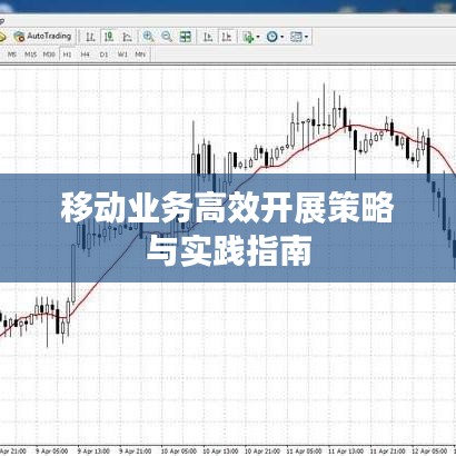 移動業(yè)務(wù)高效開展策略與實踐指南