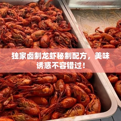 獨家鹵制龍蝦秘制配方，美味誘惑不容錯過！