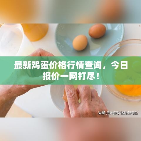 最新雞蛋價格行情查詢，今日報價一網(wǎng)打盡！