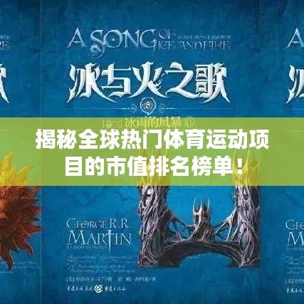 揭秘全球熱門體育運動項目的市值排名榜單！