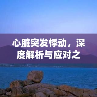 心臟突發(fā)悸動(dòng)，深度解析與應(yīng)對(duì)之道