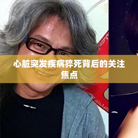 心臟突發(fā)疾病猝死背后的關(guān)注焦點(diǎn)