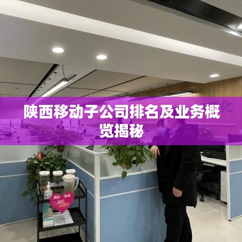 陜西移動(dòng)子公司排名及業(yè)務(wù)概覽揭秘