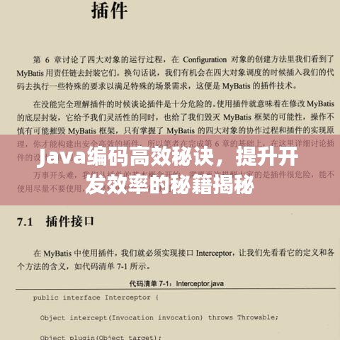 Java編碼高效秘訣，提升開發(fā)效率的秘籍揭秘