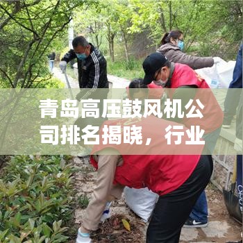 青島高壓鼓風機公司排名揭曉，行業(yè)領(lǐng)軍者榜單出爐！