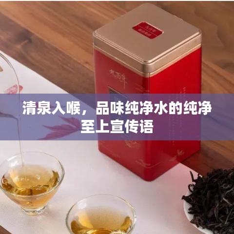 清泉入喉，品味純凈水的純凈至上宣傳語(yǔ)