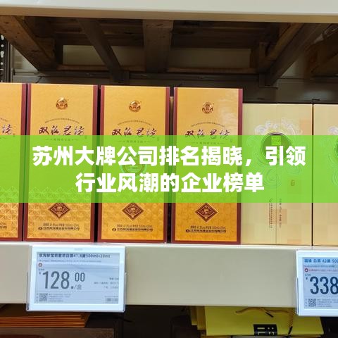 蘇州大牌公司排名揭曉，引領(lǐng)行業(yè)風(fēng)潮的企業(yè)榜單