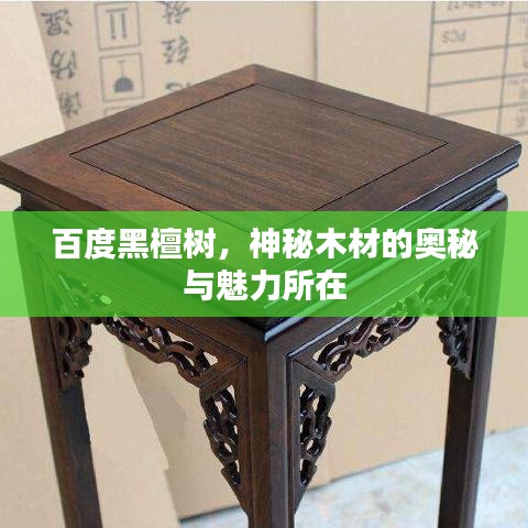 百度黑檀樹，神秘木材的奧秘與魅力所在