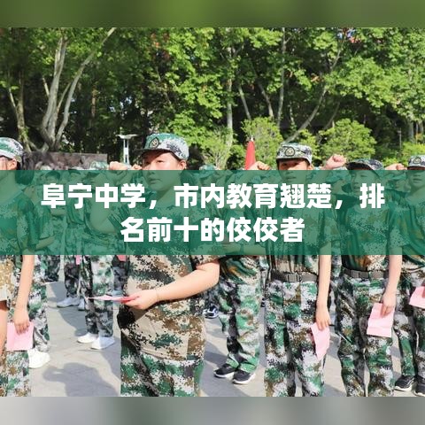 阜寧中學(xué)，市內(nèi)教育翹楚，排名前十的佼佼者