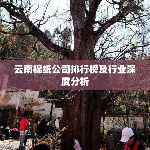 云南棉紙公司排行榜及行業(yè)深度分析
