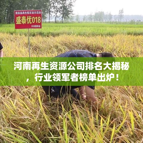 河南再生資源公司排名大揭秘，行業(yè)領(lǐng)軍者榜單出爐！